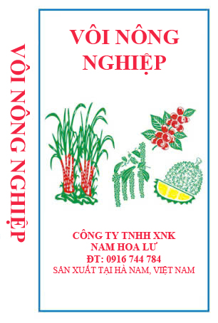 namhoalu.vn